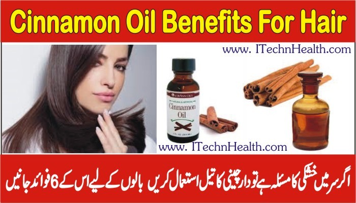 Cinnamon Oil Benefits for Hair Growth, Hair Falling and Increase the Length  of Hair 