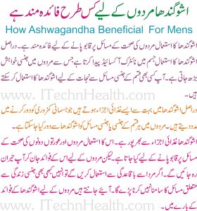 Ashwagandha Benefits In Urdu