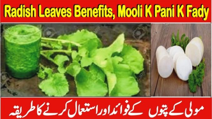 Mooli K Pani K Fady, Radish Leaves Benefits In Urdu