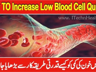 How To Increase Low Red Blood Cell Quickly and Naturally In Body