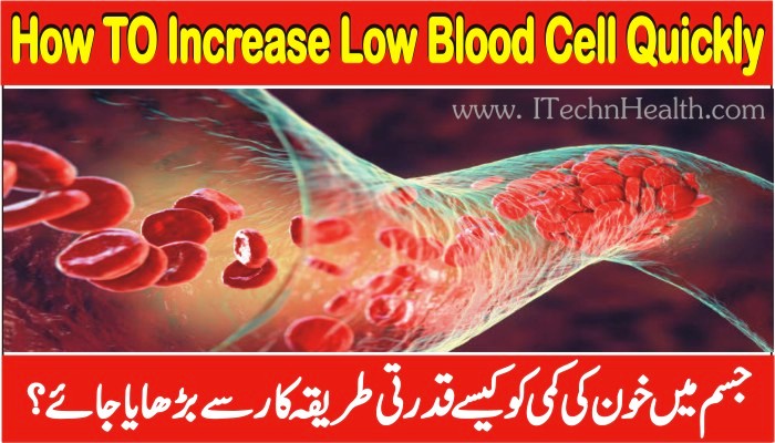 Your Trusted Source for Technology Insights, Health Tips, and Smart ...