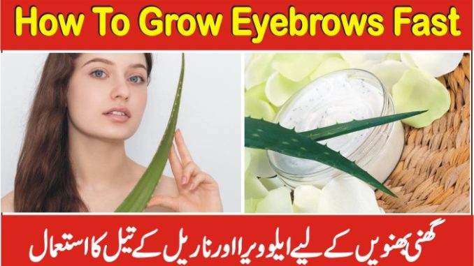 Use of Aloe Vera And Coconut Oil To Grow Eyebrows Fast And Thick