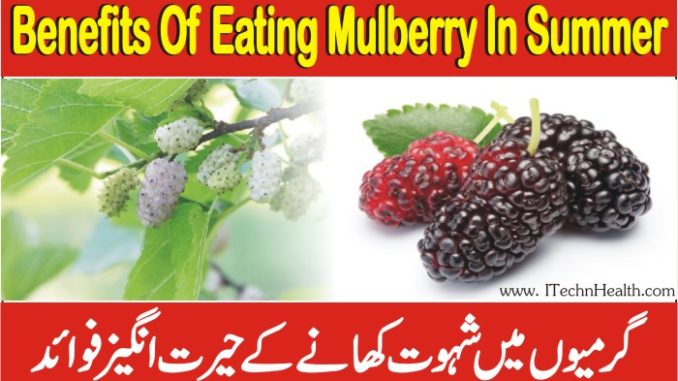 Benefits Of Eating Mulberry In Summ