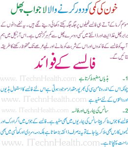 Khoon ki kami ka ilaj in Urdu