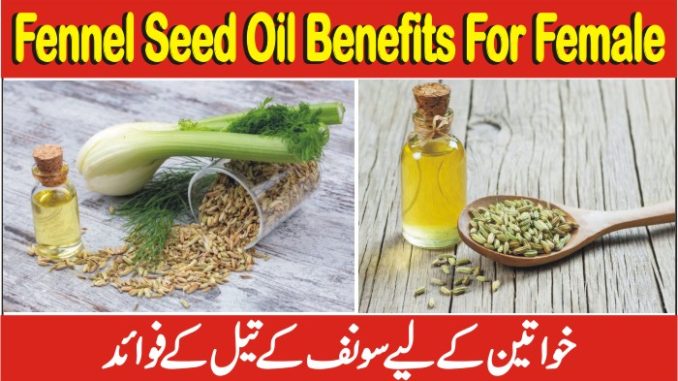 Fennel Seed Oil Benefits For Female