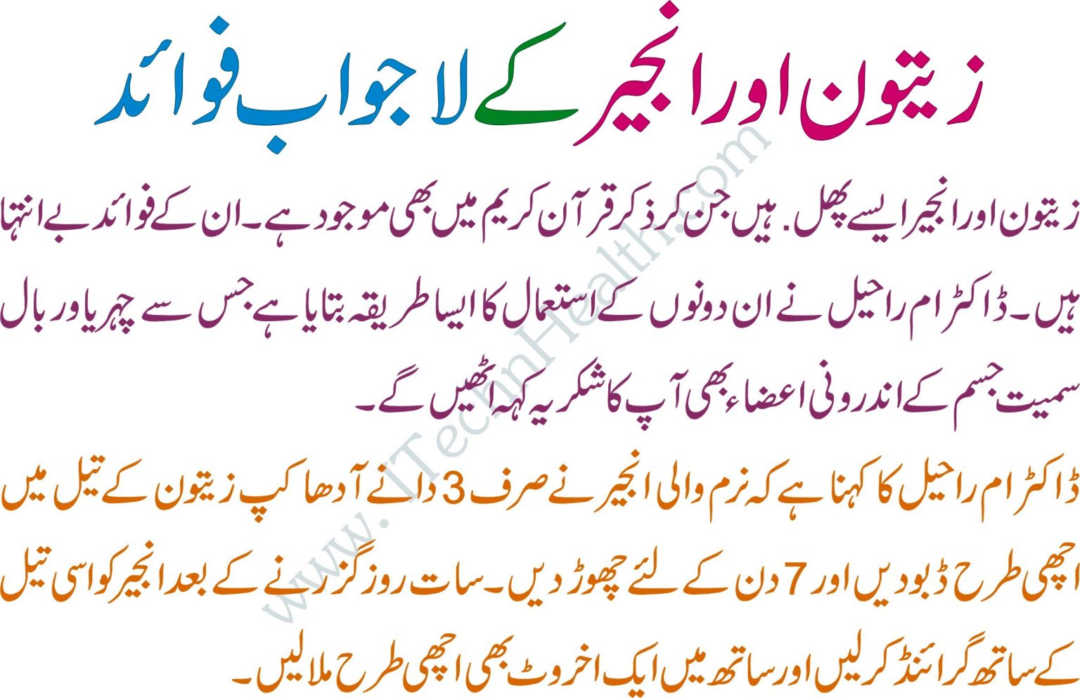 Fig And Olive Oil Benefits, Anjeer Aur Zaitoon Ke Fayde